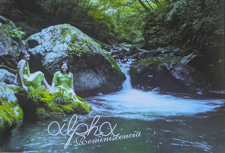 外部配信サービス